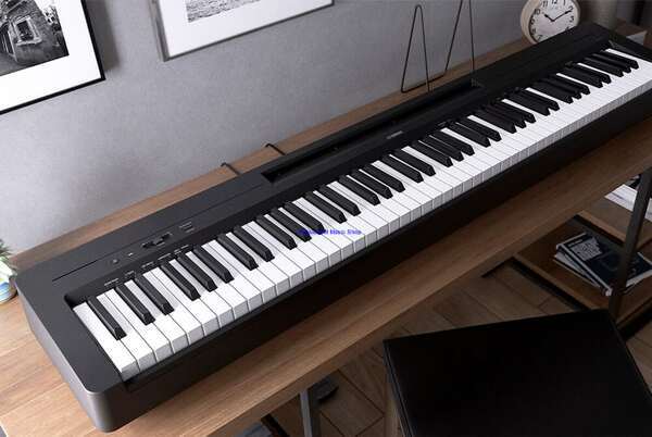 Yamaha P-145 Digital Piano 88 Keys 