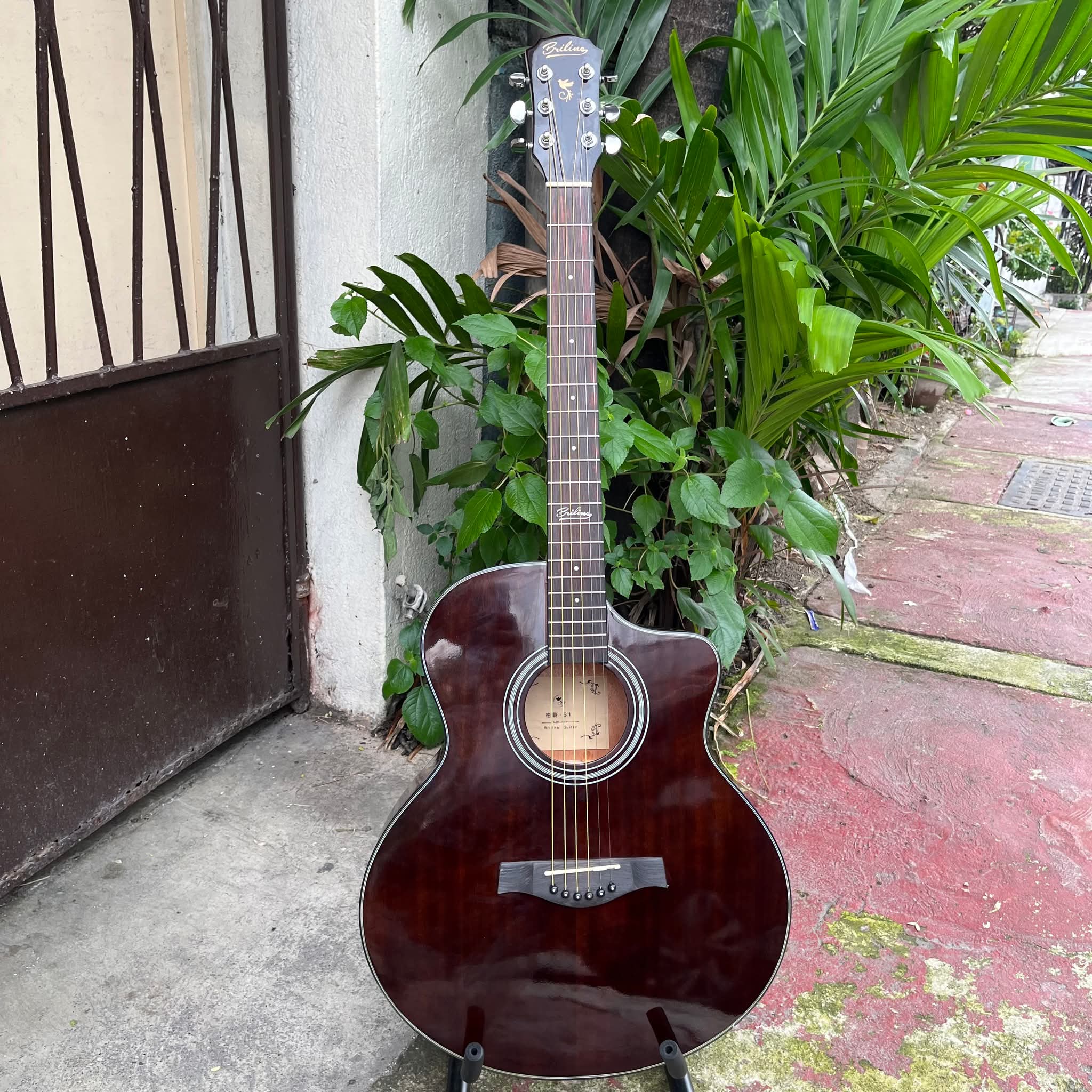 Briline S1 Pure Acoustic Guitar