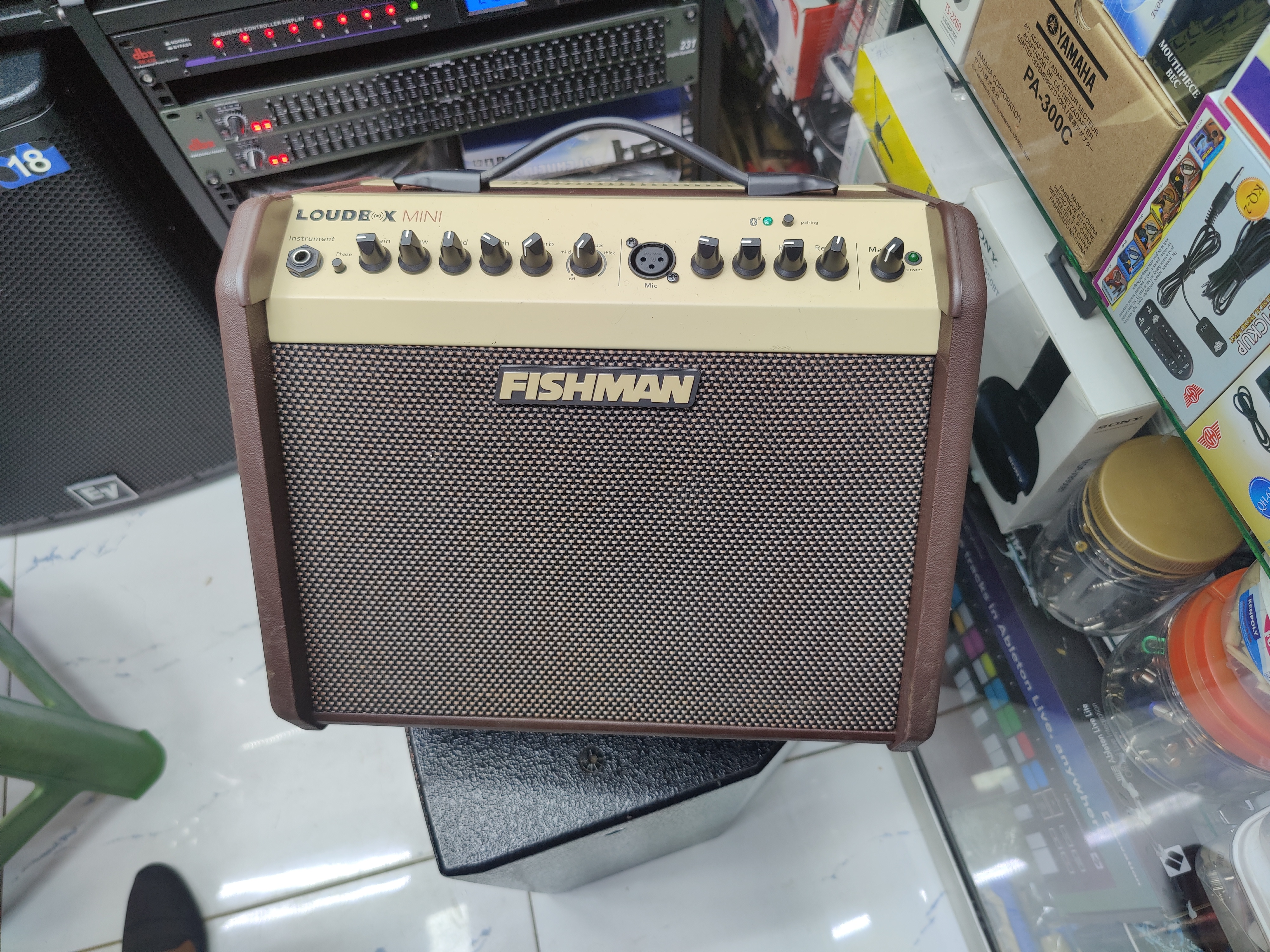 Fishman Loudbox Mini Acoustic Guitar Amplifier