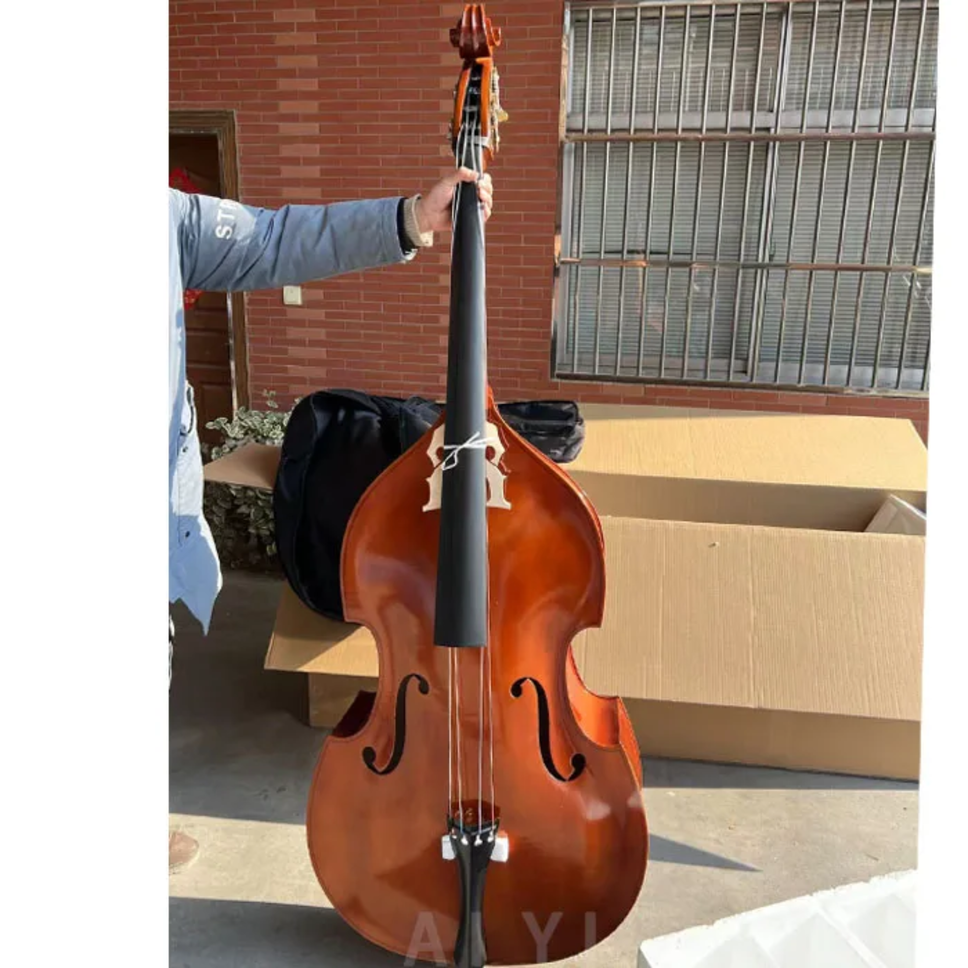 The Double Bass, also known as the Upright Bass or String Bass, is the largest and lowest-pitched member of the violin family. It is widely used in orchestras, jazz bands, folk music, and contemporary ensembles, producing deep, rich bass tones.