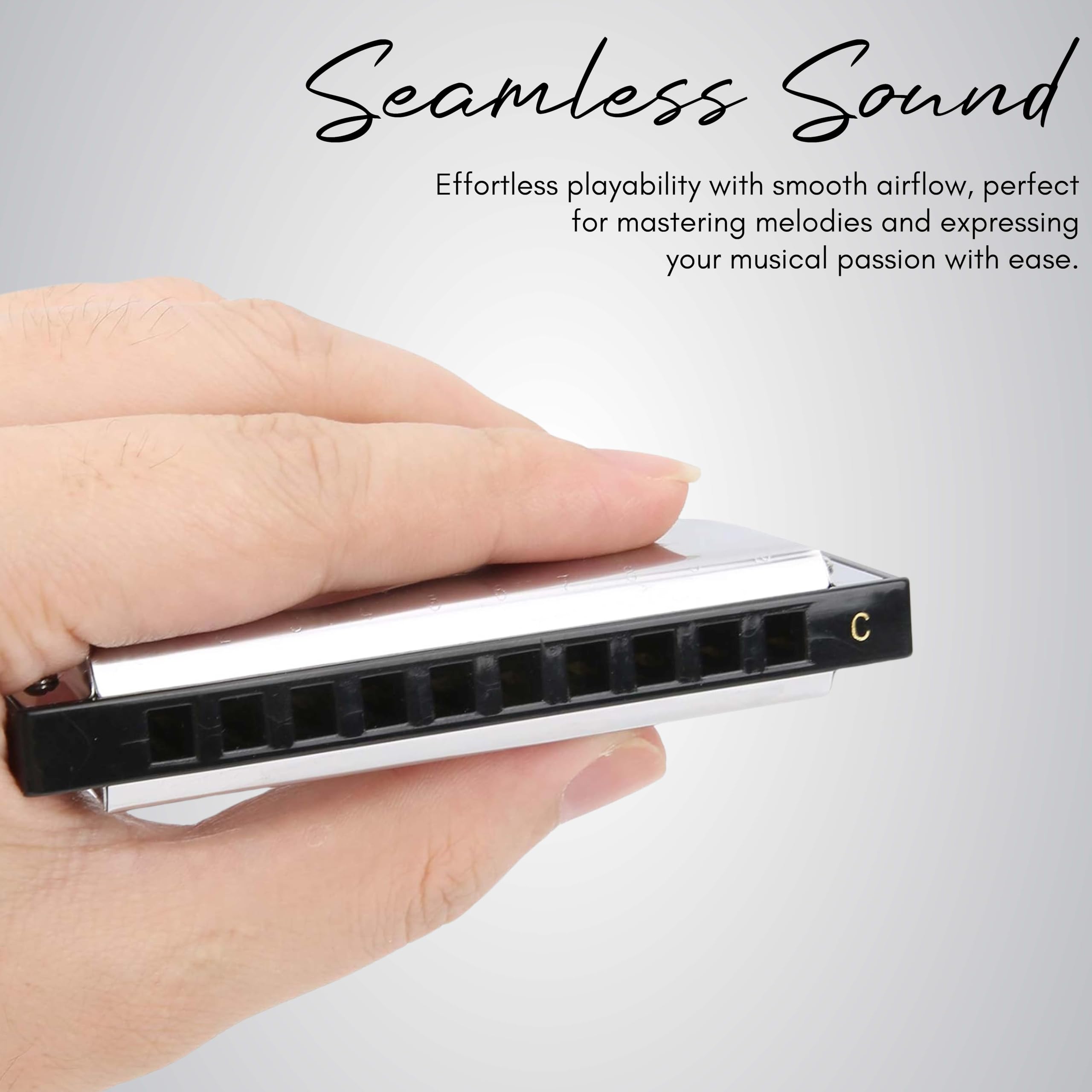 10 hole harmonica