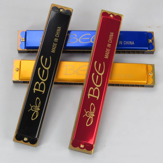 24 hole harmonica