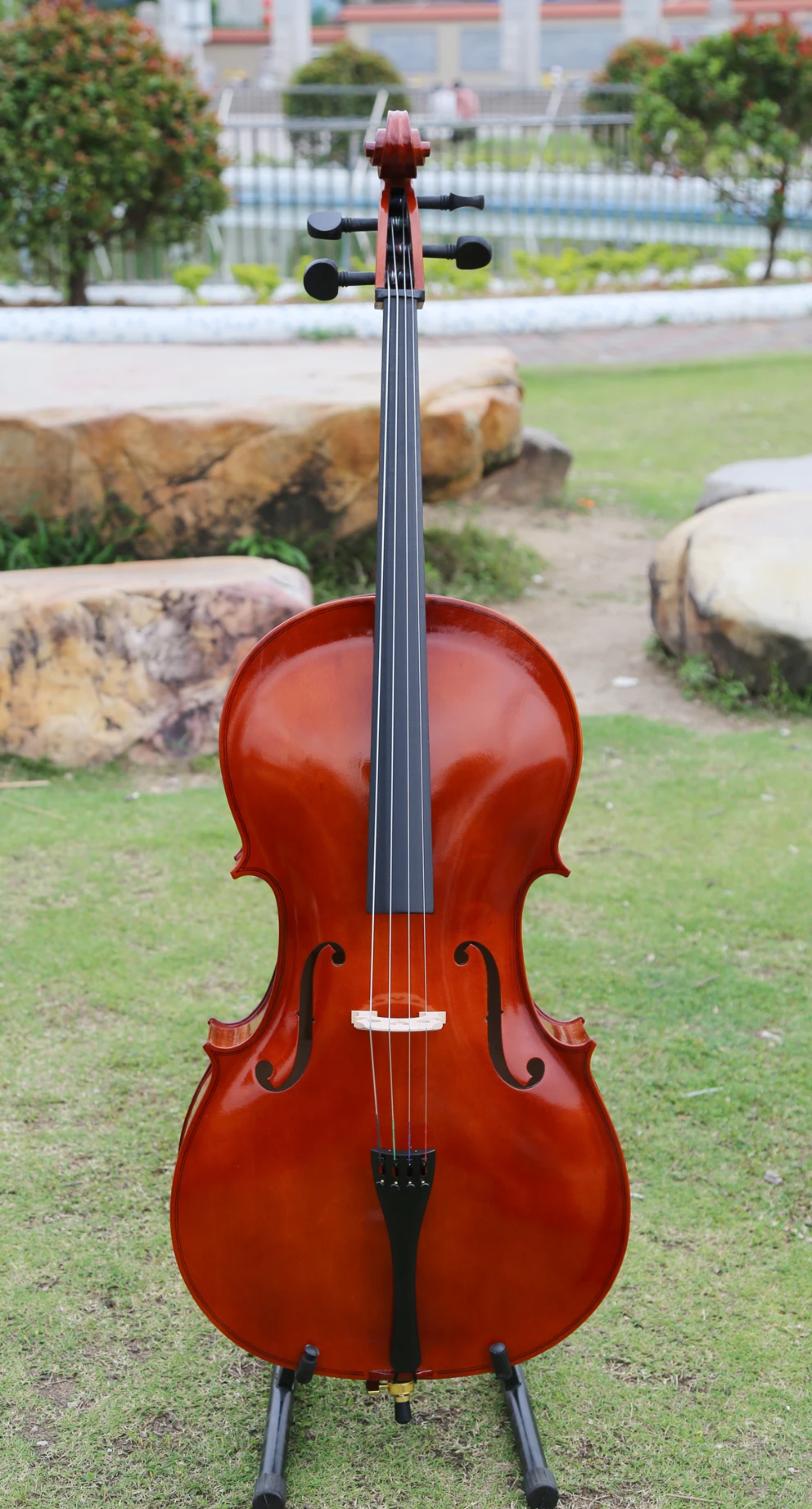 The Cello (Violoncello) is a versatile bowed string instrument in the violin family, celebrated for its rich, warm, and expressive sound. Positioned between the viola and double bass in size, the cello is ideal for orchestras, chamber music, solo performances, and music education.