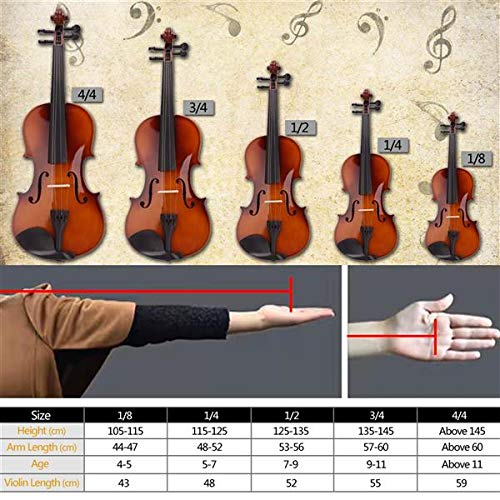 Violin size estimate