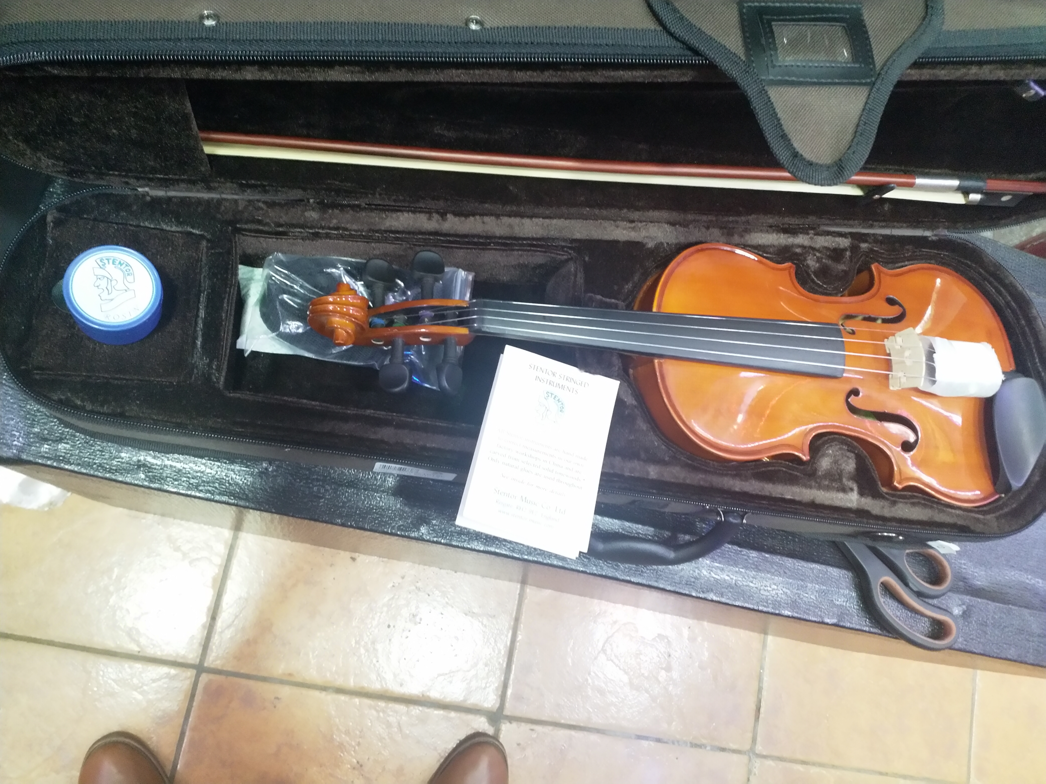 Stentor Student Violin