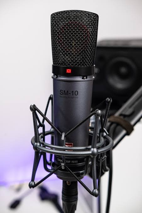 TakstarSM-10 condenser microphone