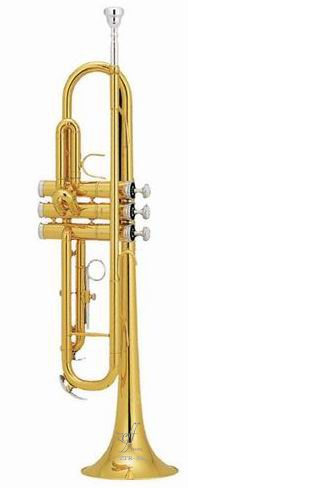 Trumpet with case